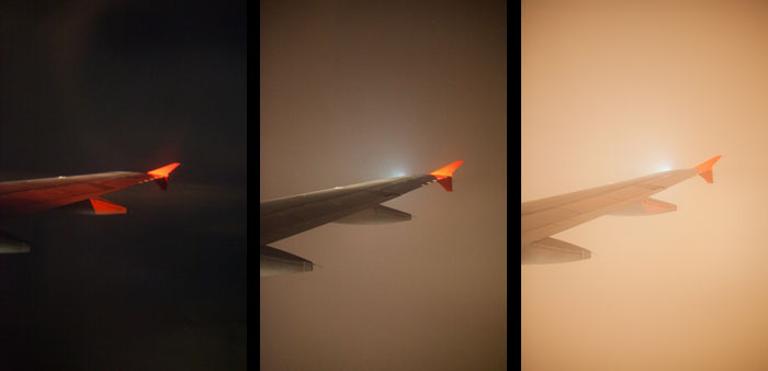 Wings