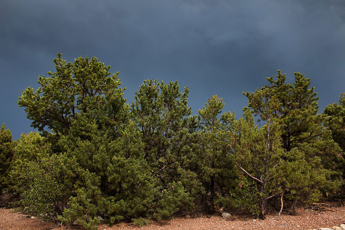 Santa Fe and Taos