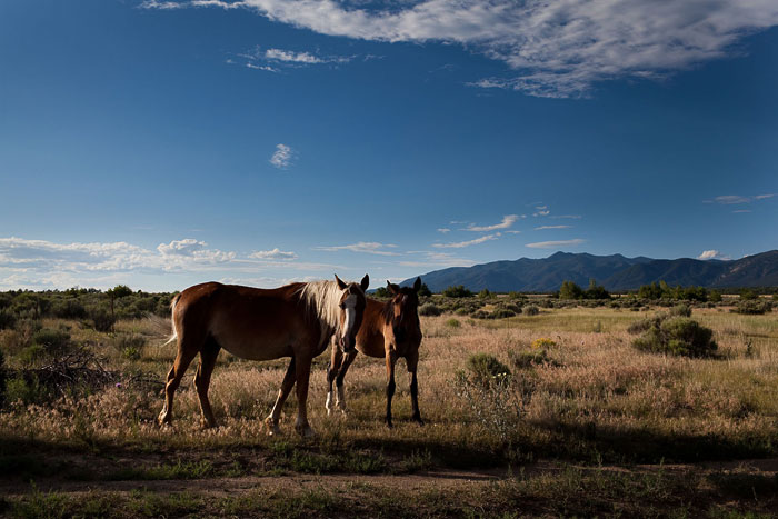 Santa Fe and Taos